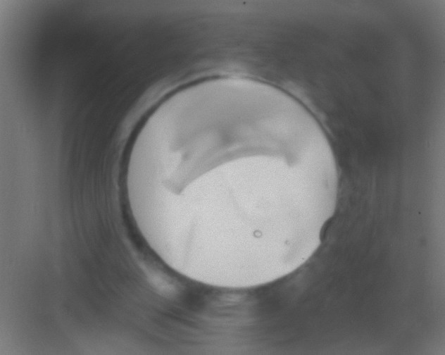 X0000081300151200702082053