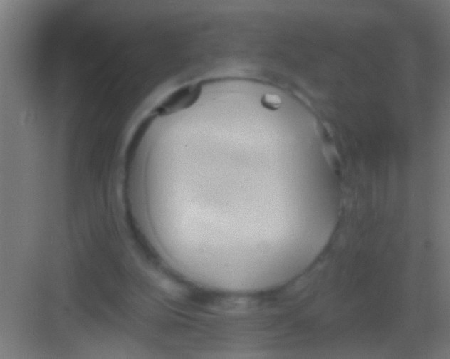 X0000081300152200702082053