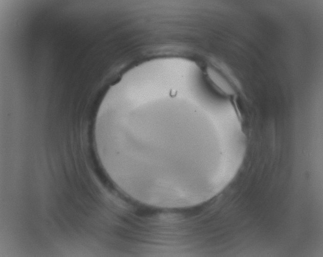 X0000081300154200702082053