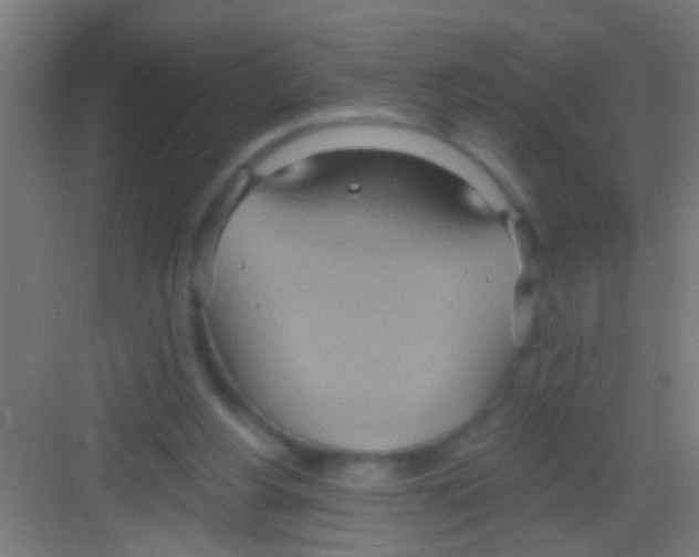 X0000081300156200702082053