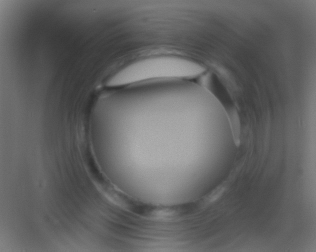 X0000081300158200702082053