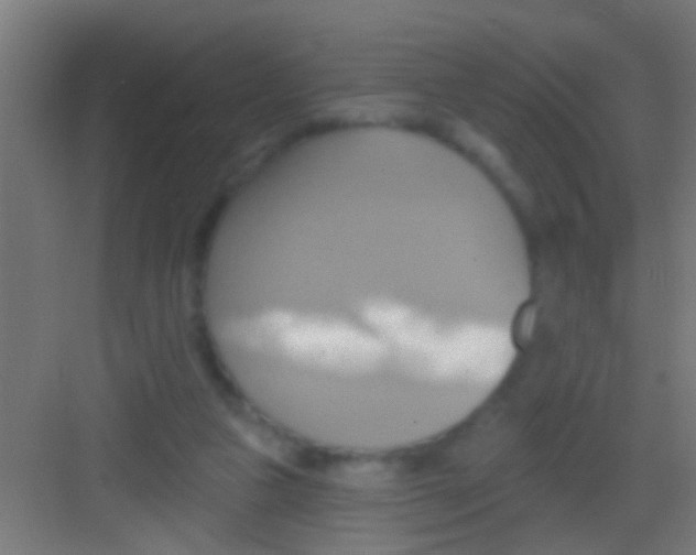 X0000081300161200702082053