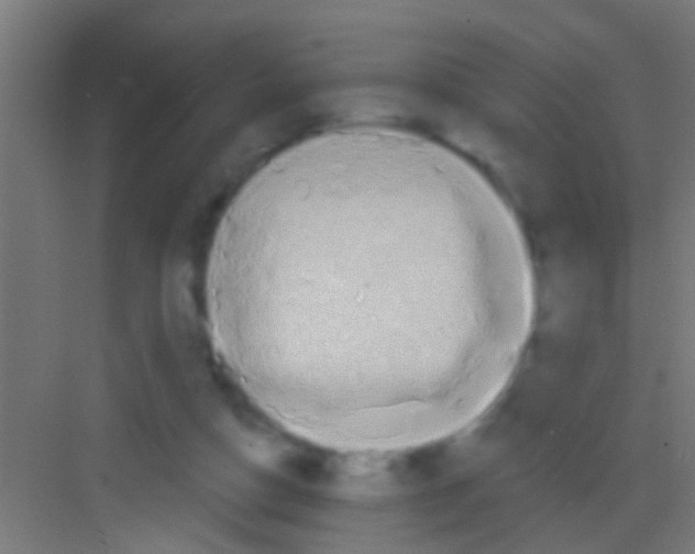 X0000081300162200702082053