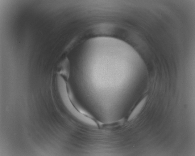 X0000081300168200702082053