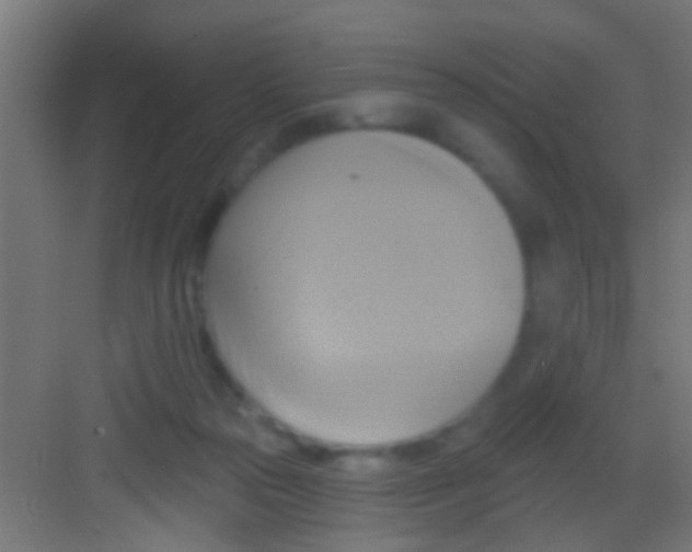 X0000081300169200702082053