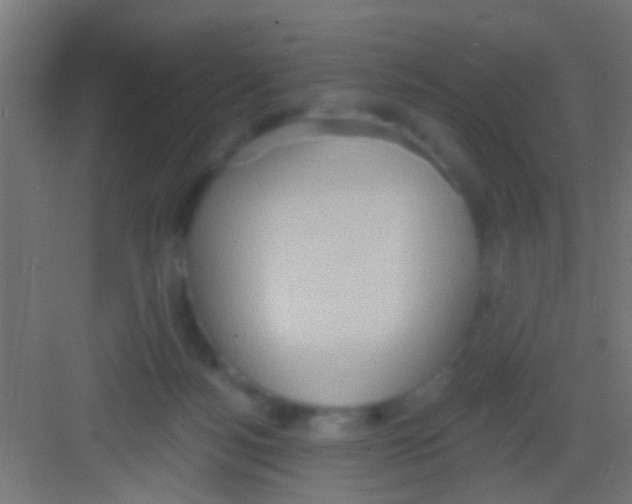 X0000081300172200702082054