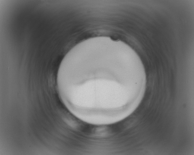 X0000081300173200702082054