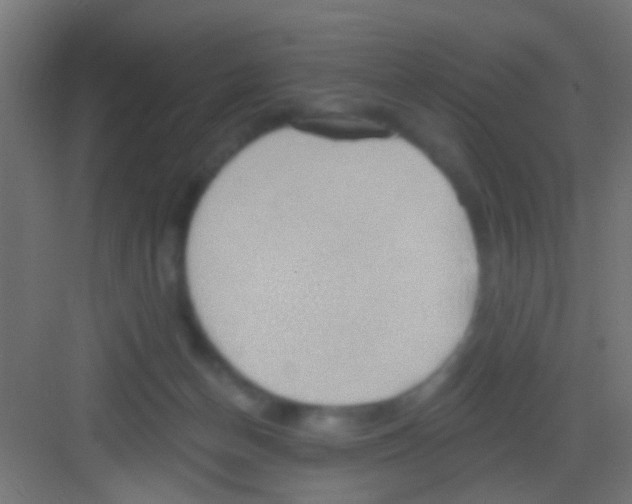 X0000081300174200702082054