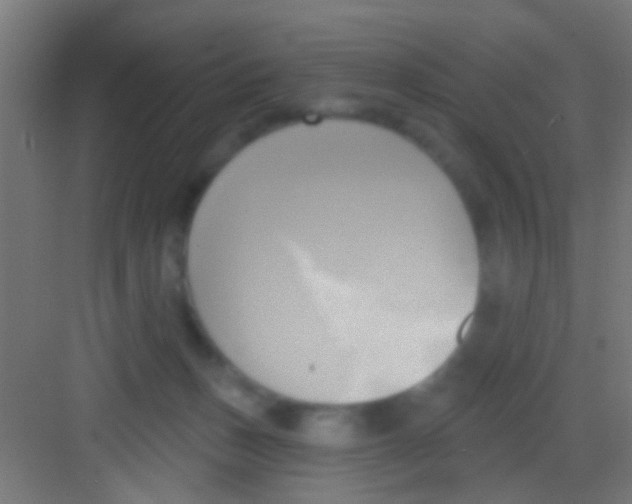 X0000081300175200702082054