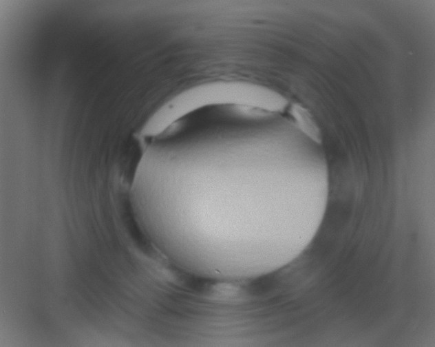 X0000081300176200702082054