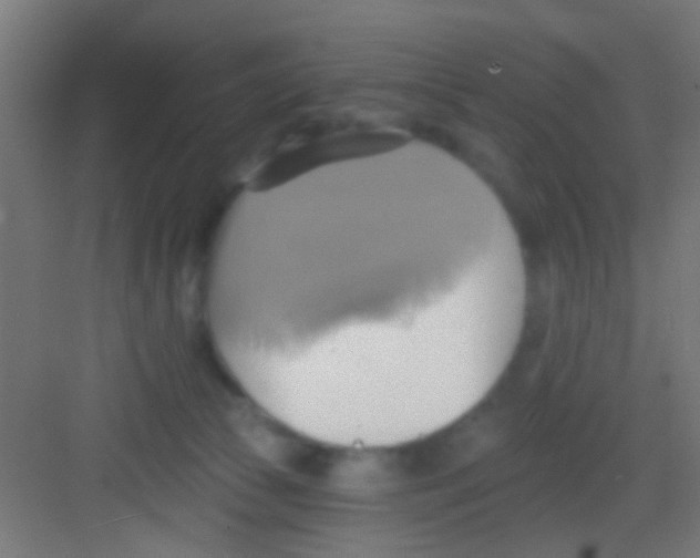 X0000081300177200702082054