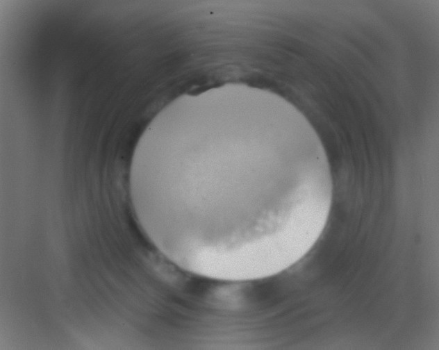 X0000081300178200702082054