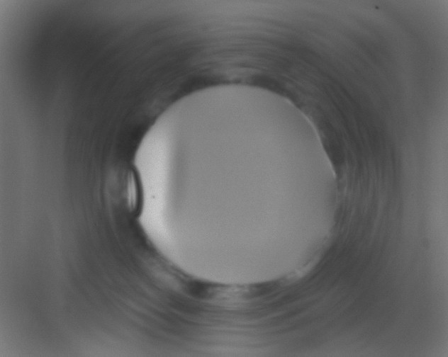 X0000081300182200702082054