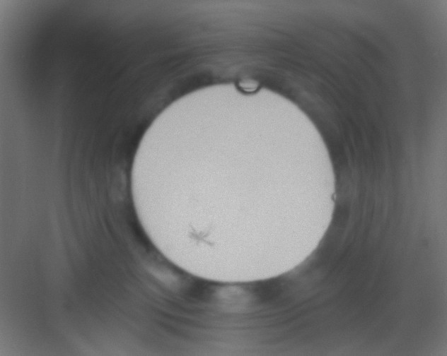 X0000081300183200702082054