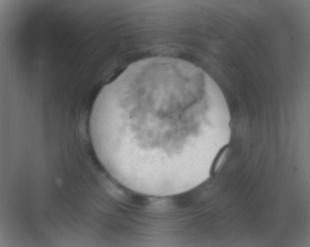 X0000081300185200702082054