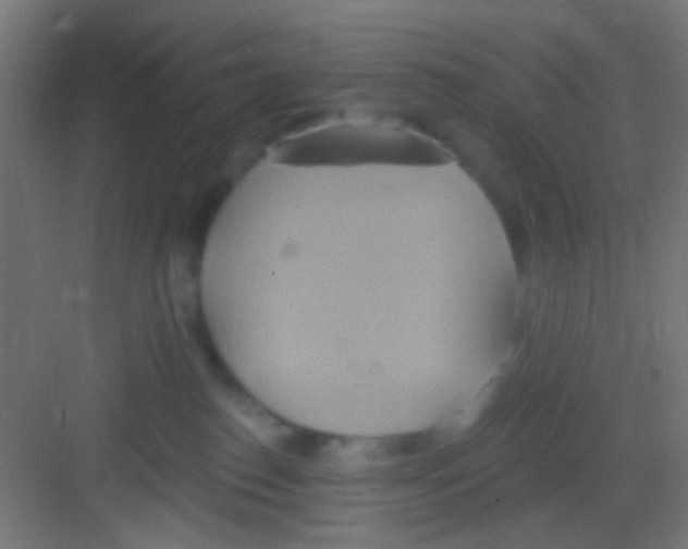 X0000081300186200702082054