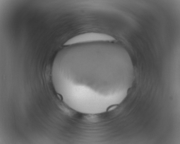 X0000081300189200702082054