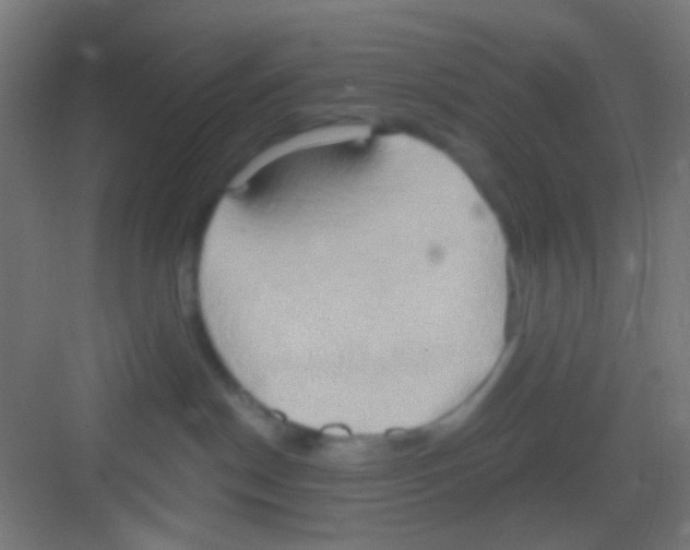 X0000081300190200702082054