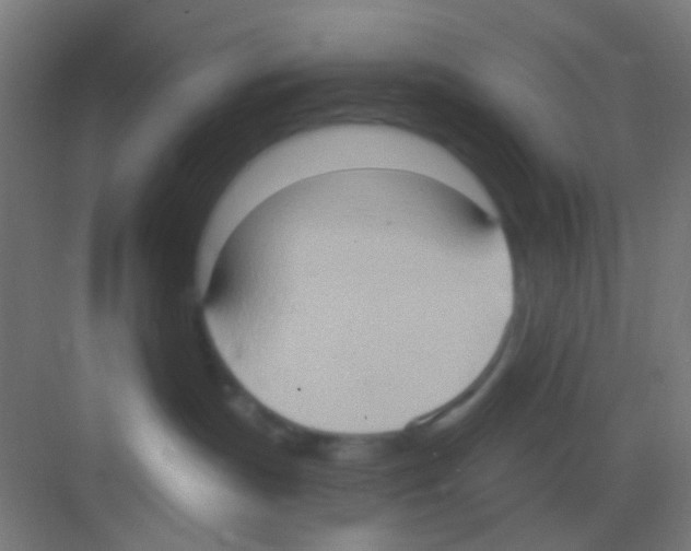 X0000081300191200702082054