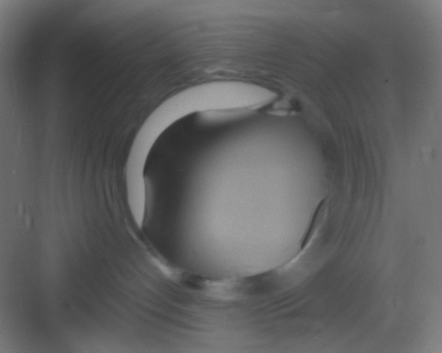 X0000081300192200702082054