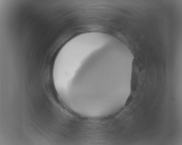 X0000081300194200702082053