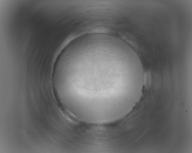 X0000081300195200702082053