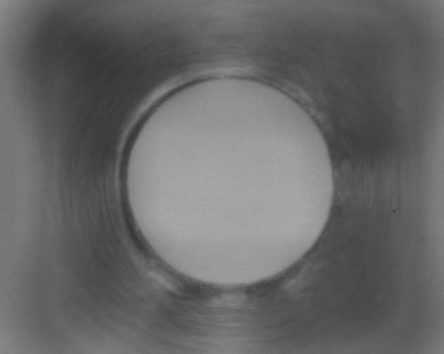 X0000081300196200702082053