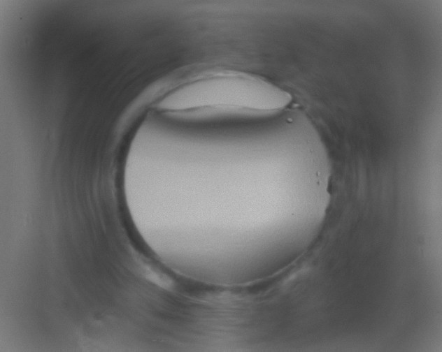 X0000081300197200702082053