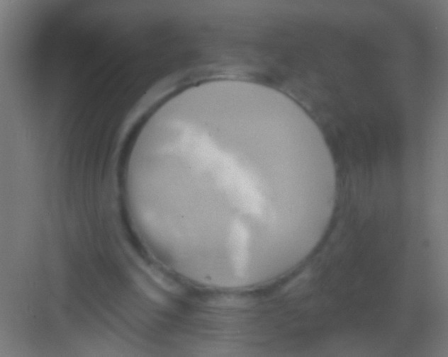 X0000081300198200702082053