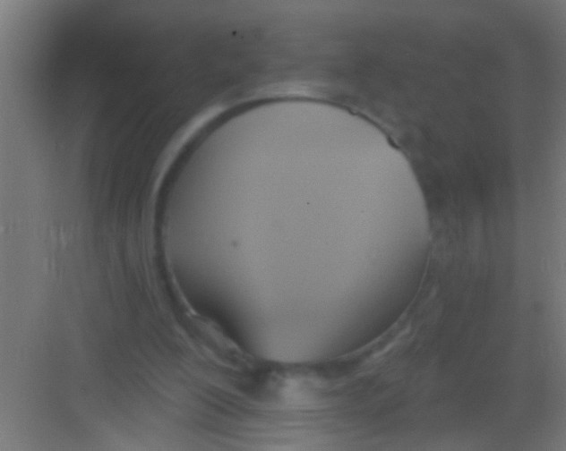 X0000081300200200702082053