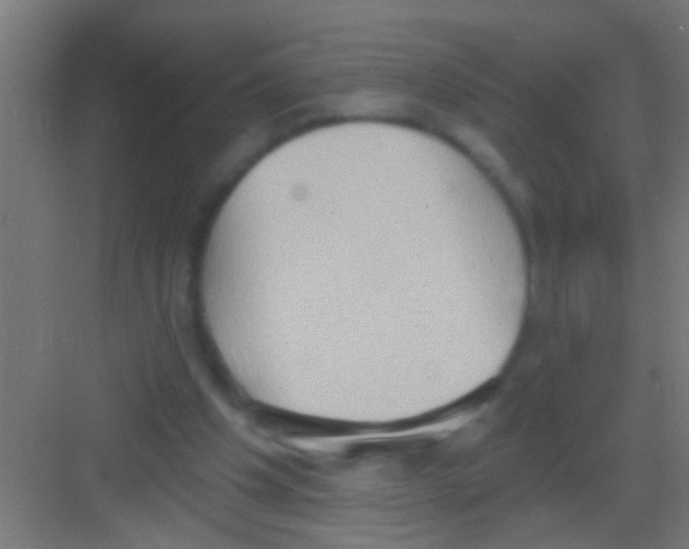 X0000081300201200702082053