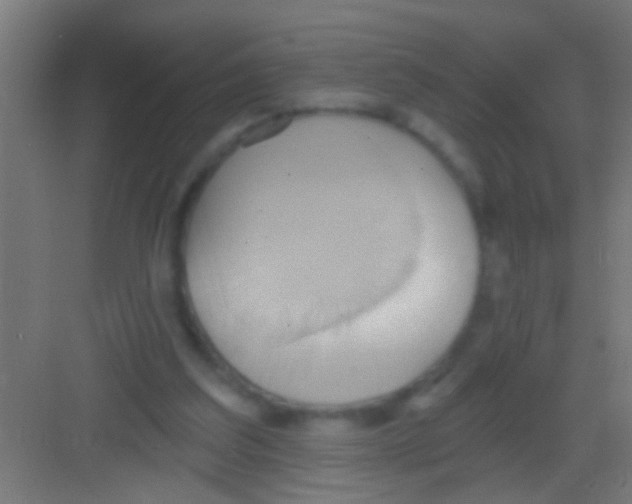 X0000081300203200702082053