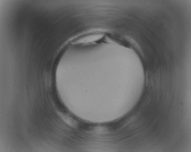 X0000081300204200702082053