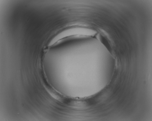 X0000081300205200702082053