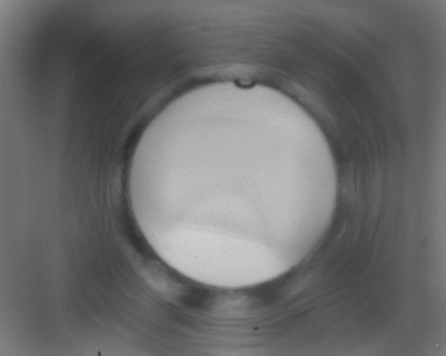 X0000081300206200702082053