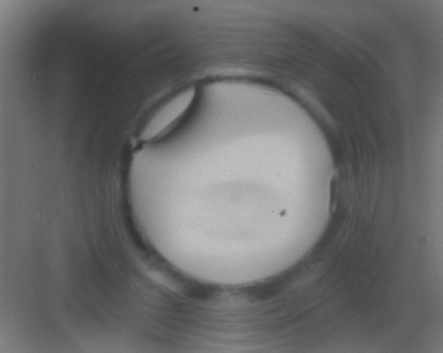 X0000081300207200702082053