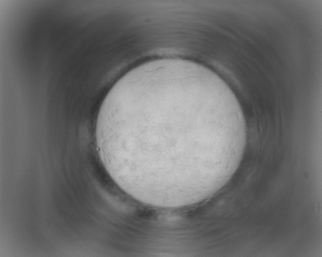 X0000081300208200702082053