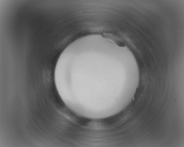 X0000081300211200702082053