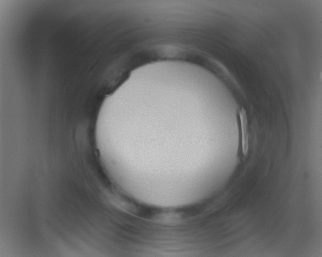 X0000081300217200702082053