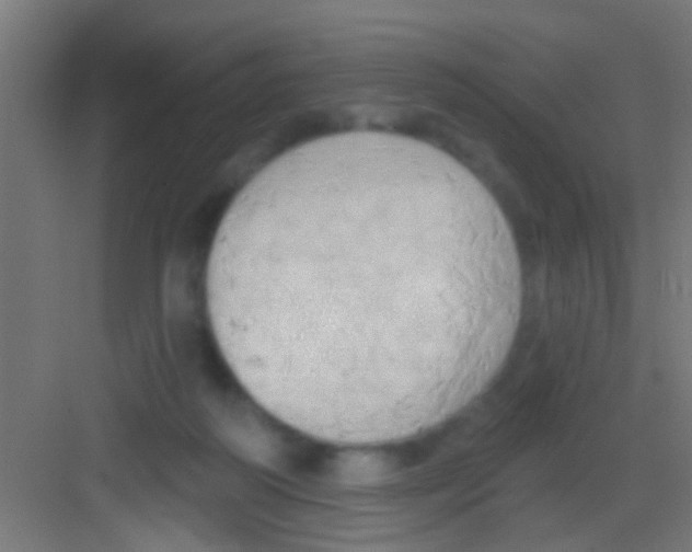 X0000081300218200702082053