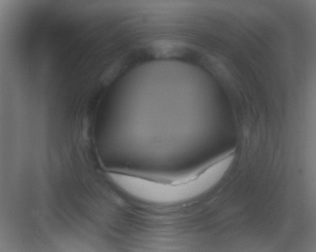 X0000081300219200702082053