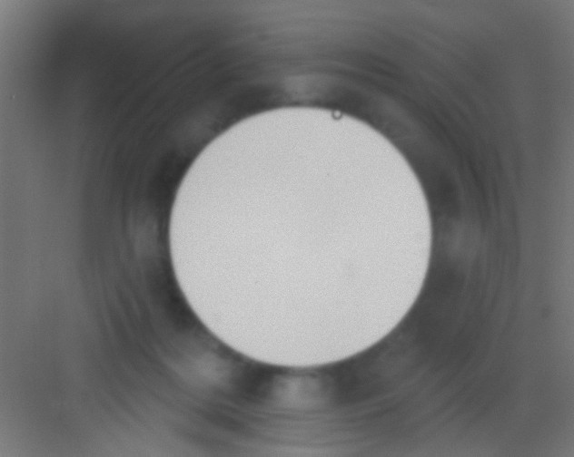 X0000081300220200702082053