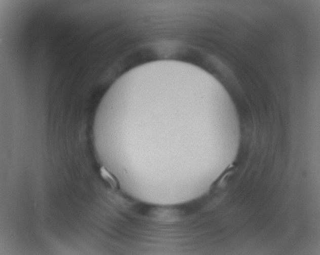 X0000081300221200702082053