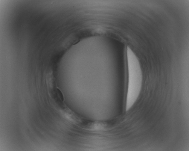 X0000081300223200702082053