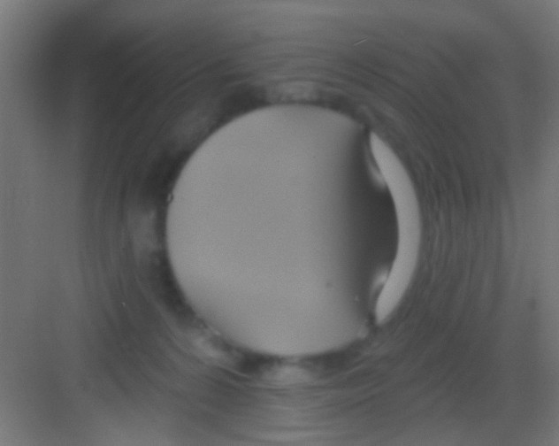 X0000081300224200702082053