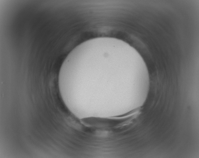 X0000081300225200702082053