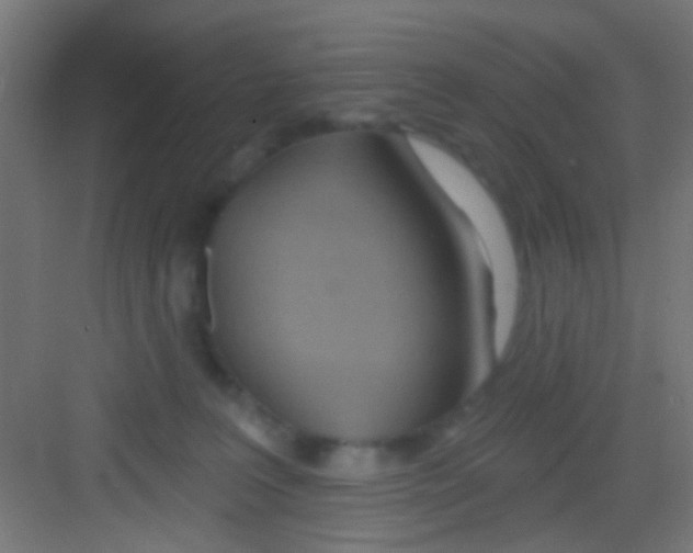 X0000081300227200702082052