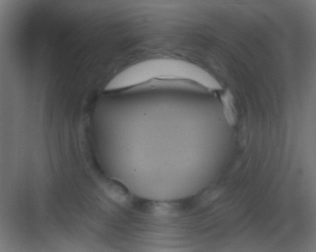 X0000081300229200702082052