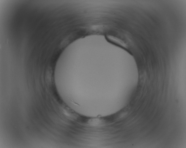 X0000081300231200702082052