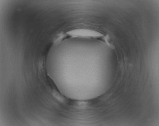 X0000081300233200702082052